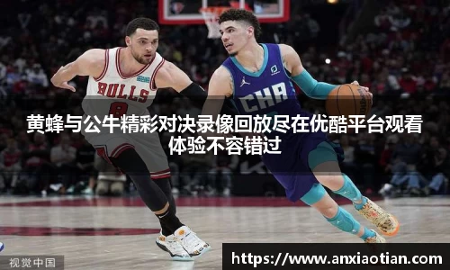 黄蜂与公牛精彩对决录像回放尽在优酷平台观看体验不容错过