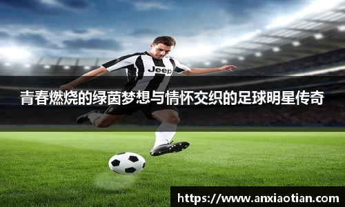 青春燃烧的绿茵梦想与情怀交织的足球明星传奇